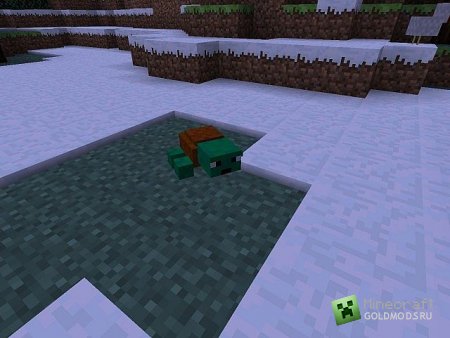   Crazy Turtle  Minecraft 1.6.2 