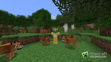 Скачать Doge Mod для Minecraft 1.6.4